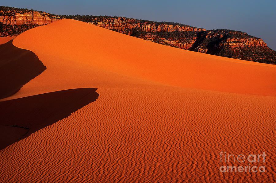 Coral Pink Sand Dunes State Park Utah Photograph by Dave Welling