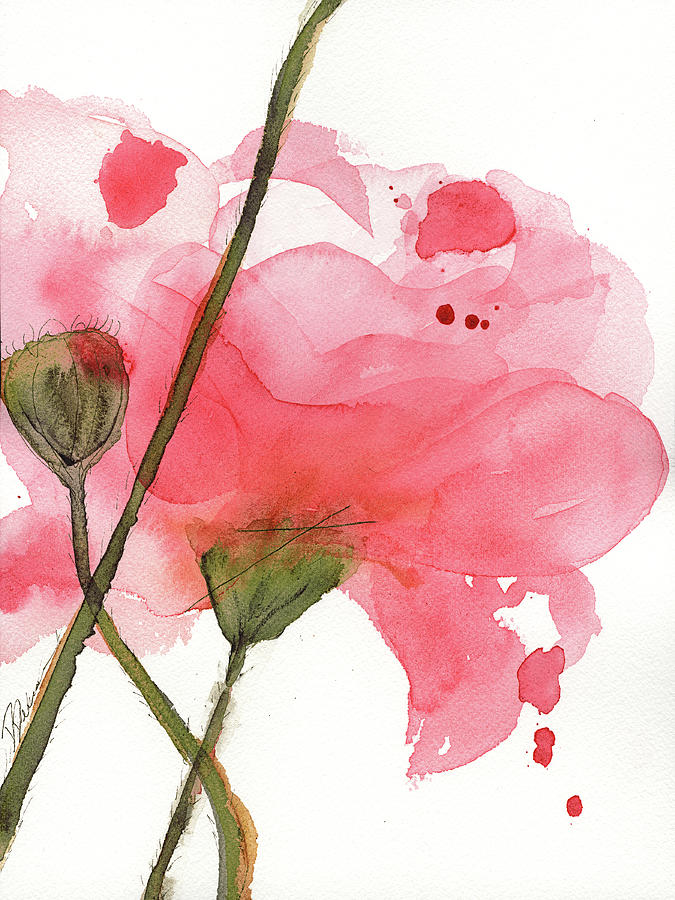 Coral Poppies Painting by Dawn Derman