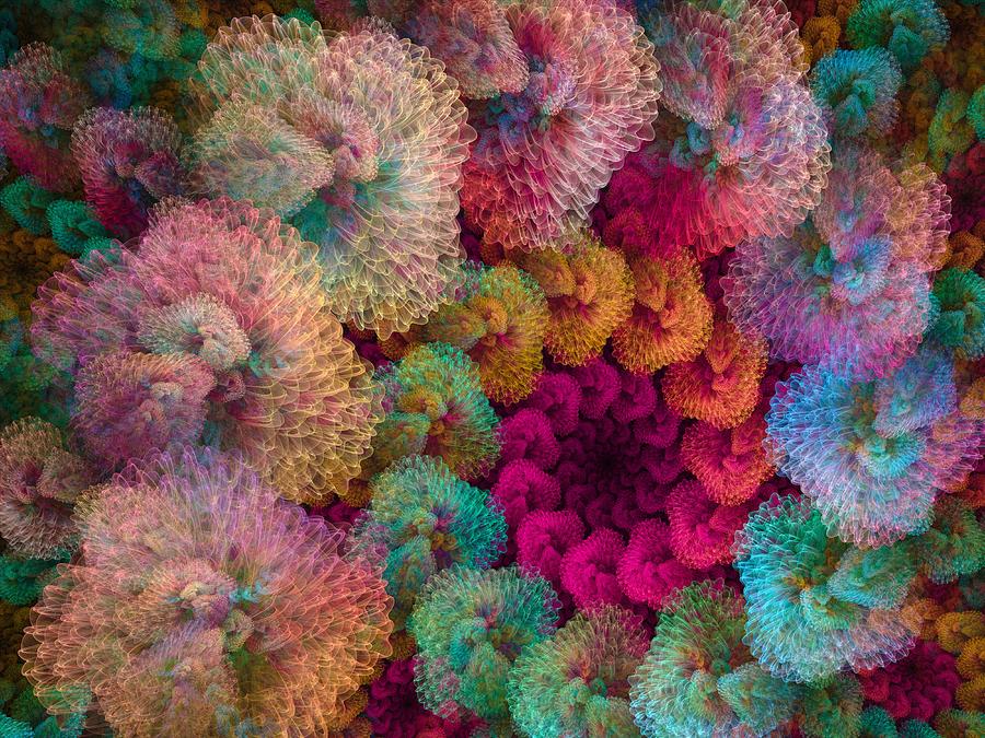 Coral Puffs Digital Art by Amorina Ashton