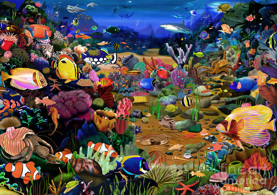 Fish Digital Art - Coral Reef by MGL Meiklejohn Graphics Licensing