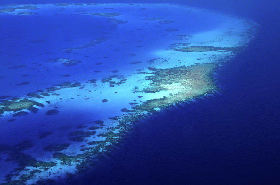 Coral Reef Patterns 1. Aerial Journey Around Maldives Photograph by Jenny Rainbow