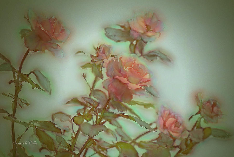 Coral Roses Digital Art by Bonnie Willis
