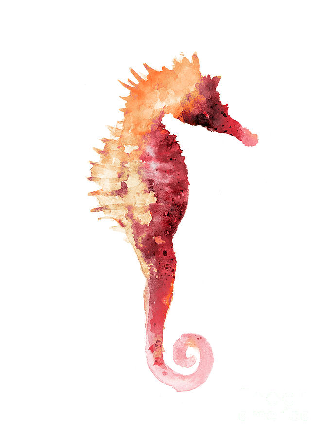 Seahorse Painting - Coral seahorse watercolor painting by Joanna Szmerdt