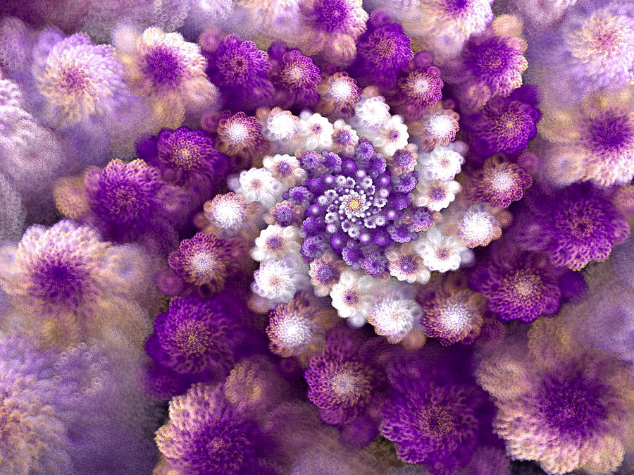 Coraled Blooms Digital Art by Amorina Ashton