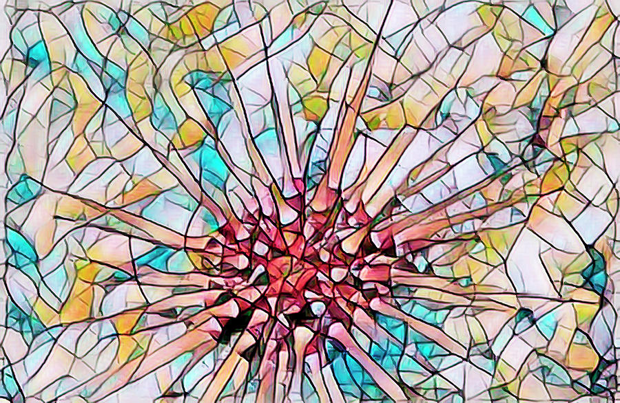 Corals Under the Sea in Stained Glass Photograph by Debra and Dave Vanderlaan