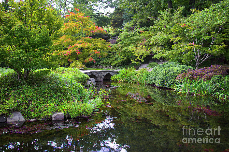 Corbel Arch Bridge Japanese Garden Maymont I Photograph by Karen Jorstad