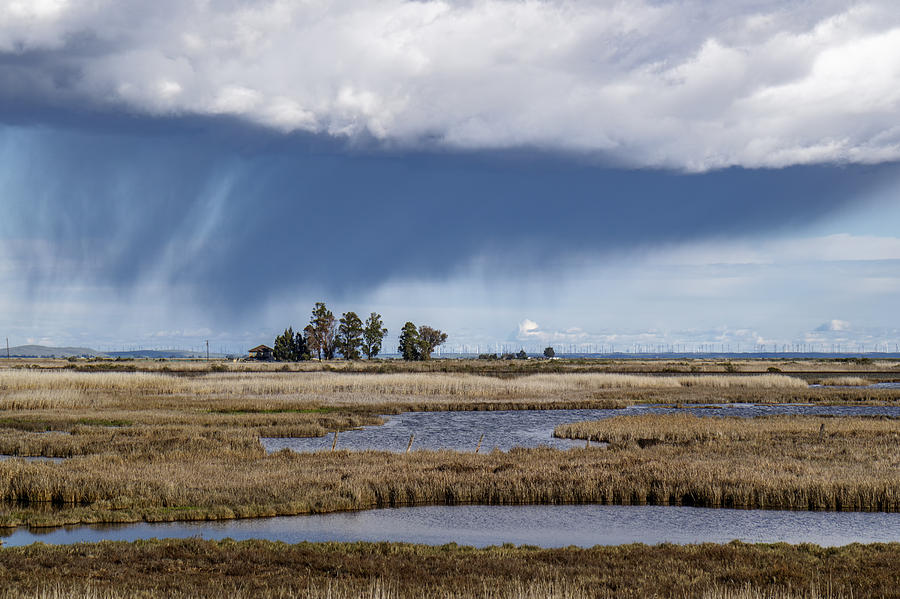 Cordellia Rain Storm Photograph by Bruce Bottomley