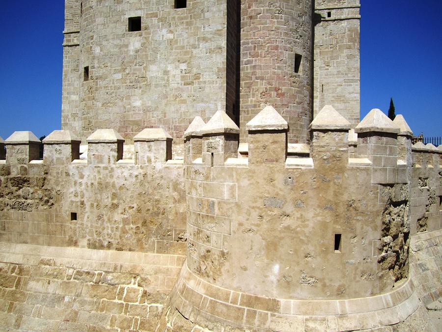 Cordoba Ancient Castle Spain Photograph by John Shiron