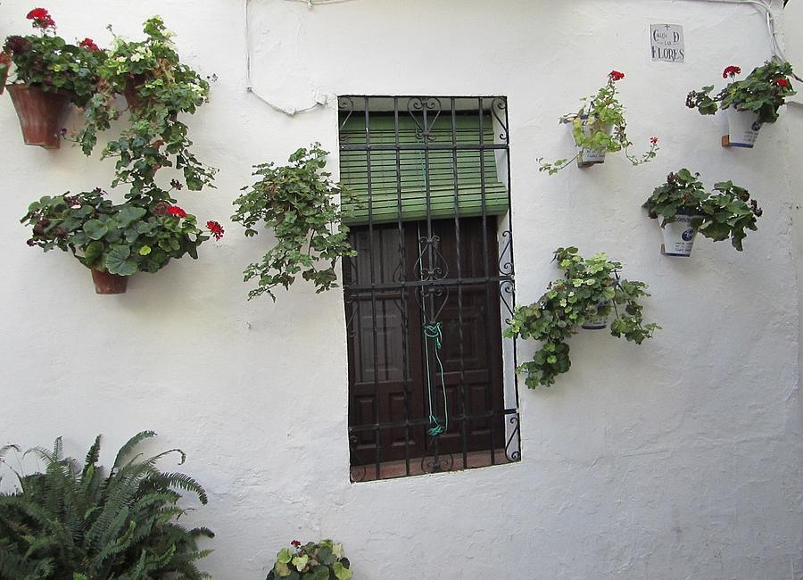 Cordoba Old Street Plants Surrounding the Wrought Iron Window Spain Photograph by John Shiron