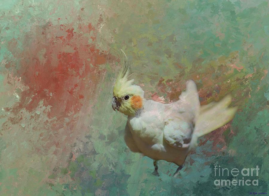 Bird Photograph - Corella Parrot by Eva Lechner