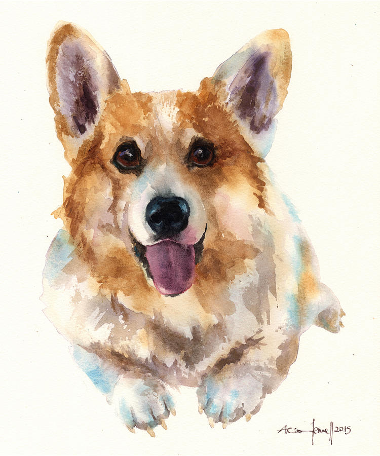 Corgi Painting Painting by Alison Fennell
