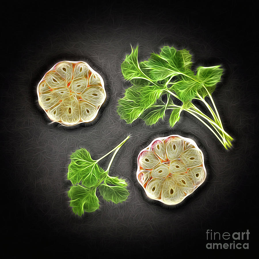 Coriander and Garlic still life. Digital Art by Phill Thornton