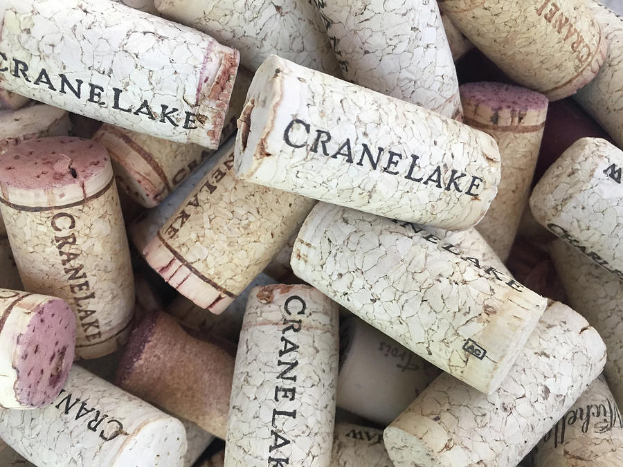 Cork Collection Photograph by Shoal Hollingsworth