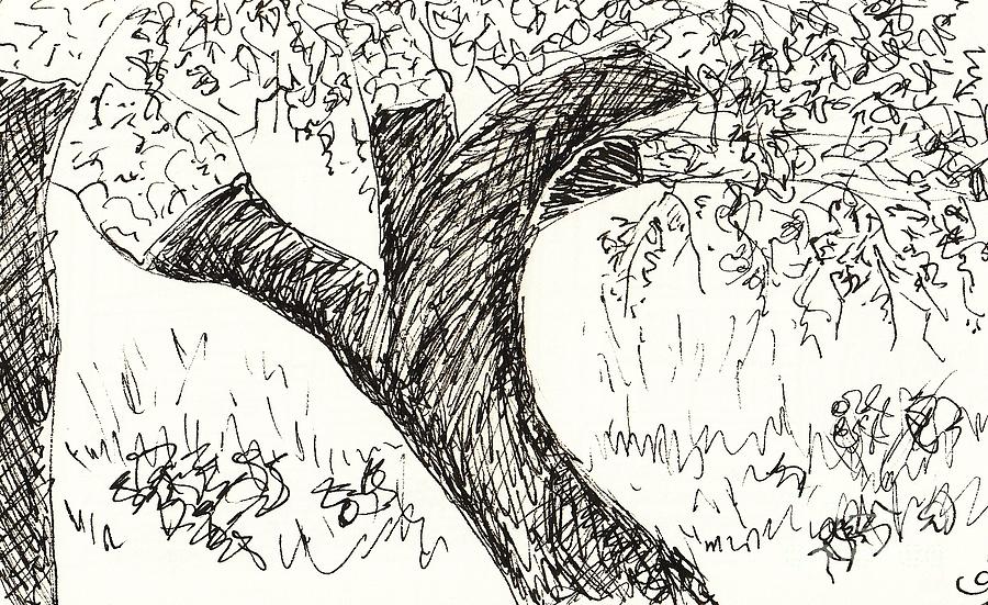 Cork Oak Drawing by Chani Demuijlder