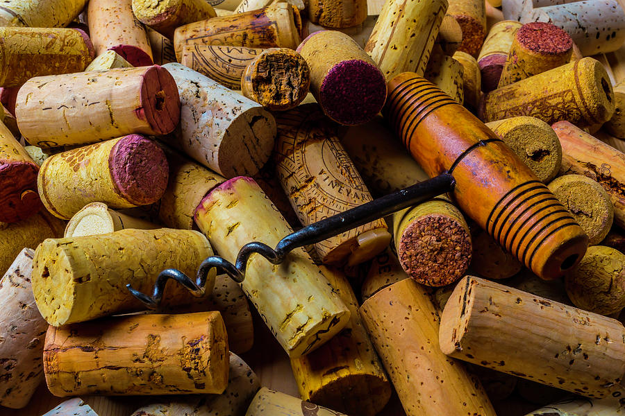 Corks And Corkscrew Photograph by Garry Gay