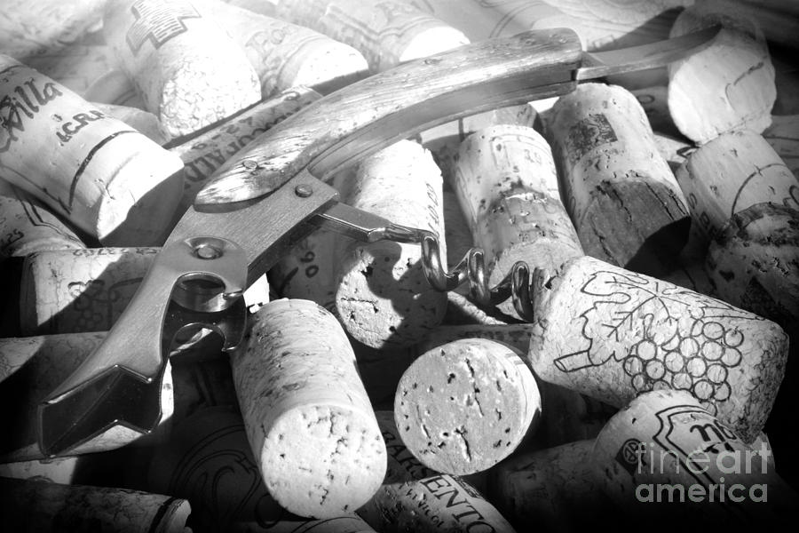 Corks and pull corkscrew Photograph by Stefano Senise