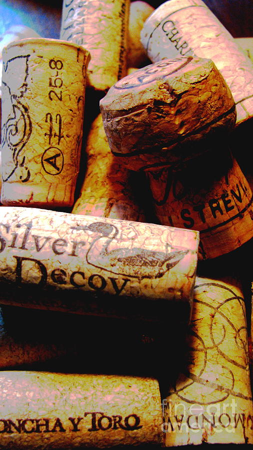 Corks Photograph by Colleen Kammerer