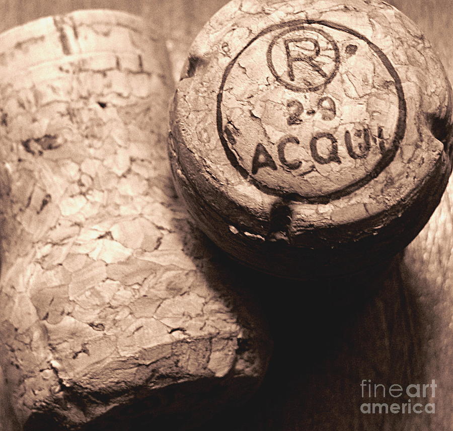 Corks in Sepia Tone Photograph by Colleen Kammerer