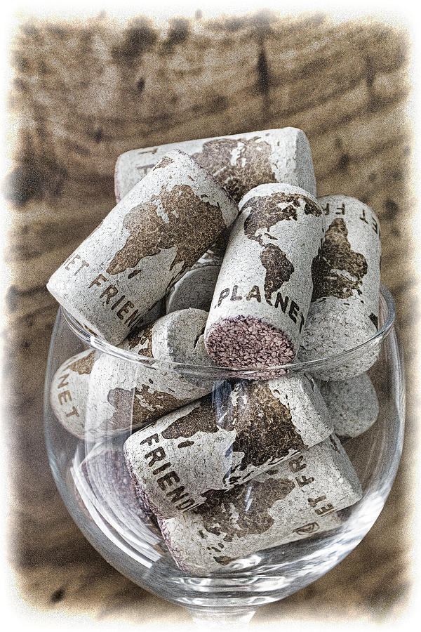 Corks of the World Photograph by Dennis Cox