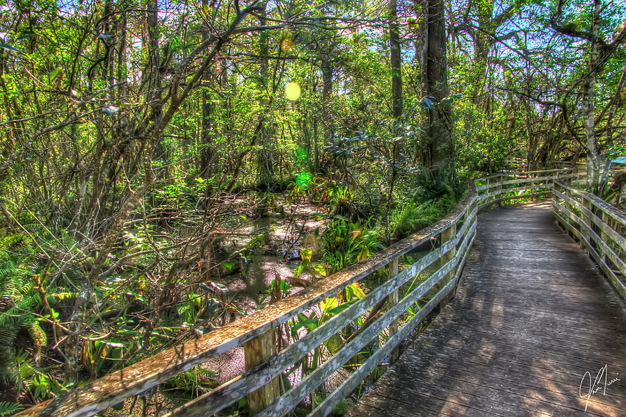 Corkscrew Marsh Trail Photograph by Jim Turri - Fine Art America