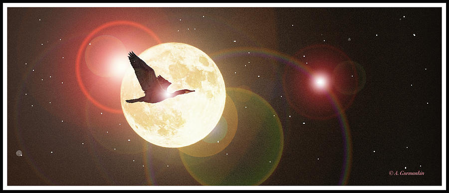 Cormorant Flies Across the Full Moon Digital Art by A Macarthur Gurmankin