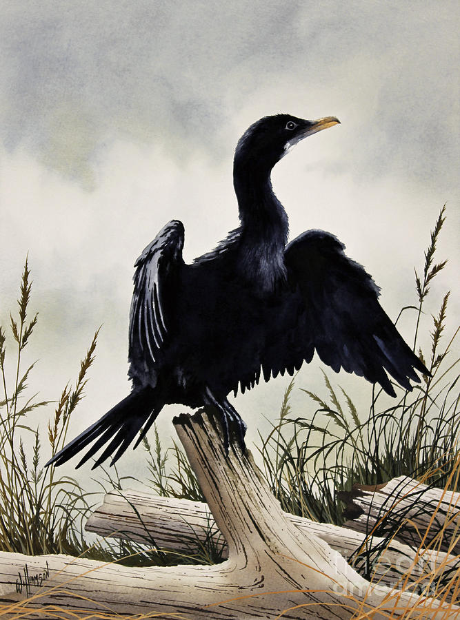 Cormorant Painting by James Williamson