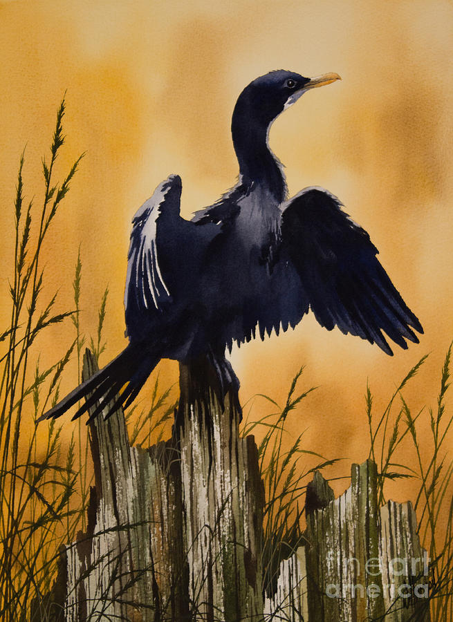 Cormorant Sunset Painting by James Williamson
