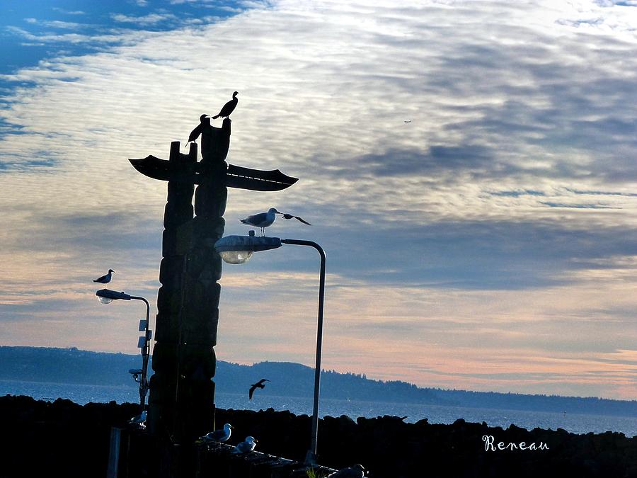CORMORANTS and GULLS IN HARMONY Photograph by A L Sadie Reneau