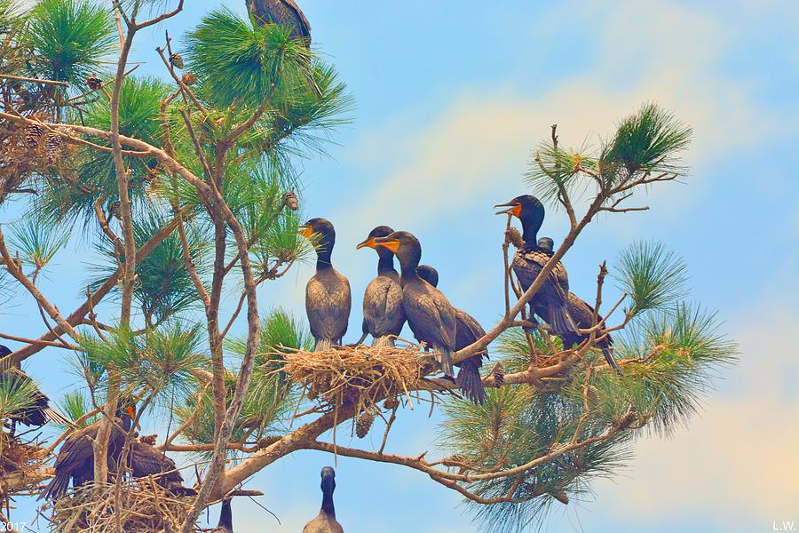 Cormorants Hanging Out Photograph by Lisa Wooten