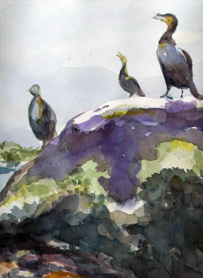 Cormorants on Rock Painting by Edith Hunsberger