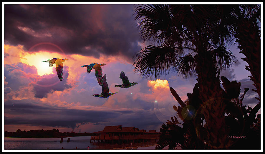 Cormorants, Tropical Sunset Photograph by A Macarthur Gurmankin