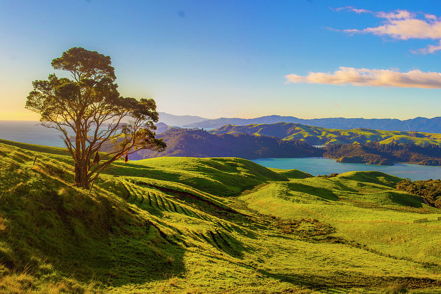 New Zealand Photograph - Cormundel Peninsula by Jeff Pfaller New Zealand Photograph - Cormundel Peninsula by Jeff Pfaller