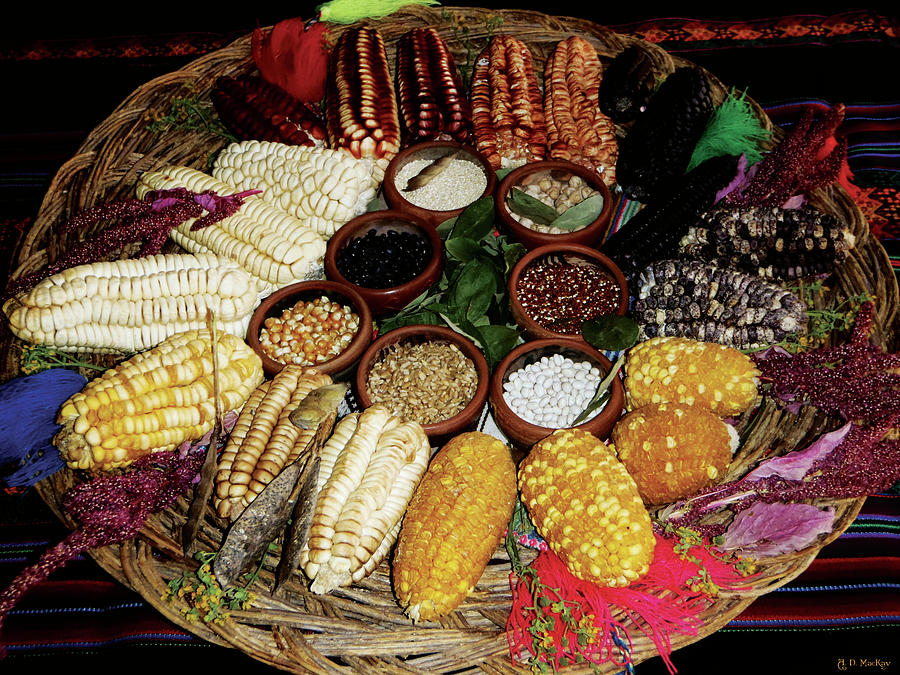 Corn and Grains in Peru Photograph by Celtic Artist Angela Dawn MacKay