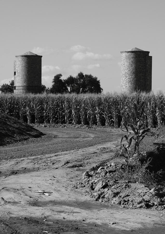 Black And White Photograph - Corn and Silos by Troy Montemayor