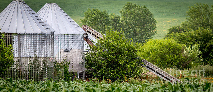 Corn Cribs On The Farm Photograph