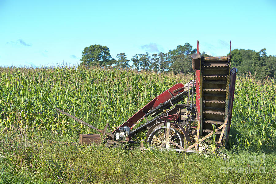 Corn Cutter Photograph by David Arment