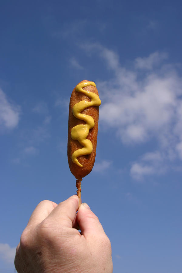 Dog Photograph - Corn Dog In The Sky With Mustard by Mike Ledray