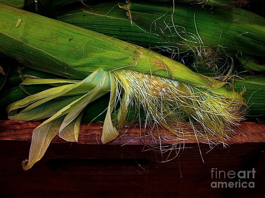 Corn Photograph by Elfriede Fulda