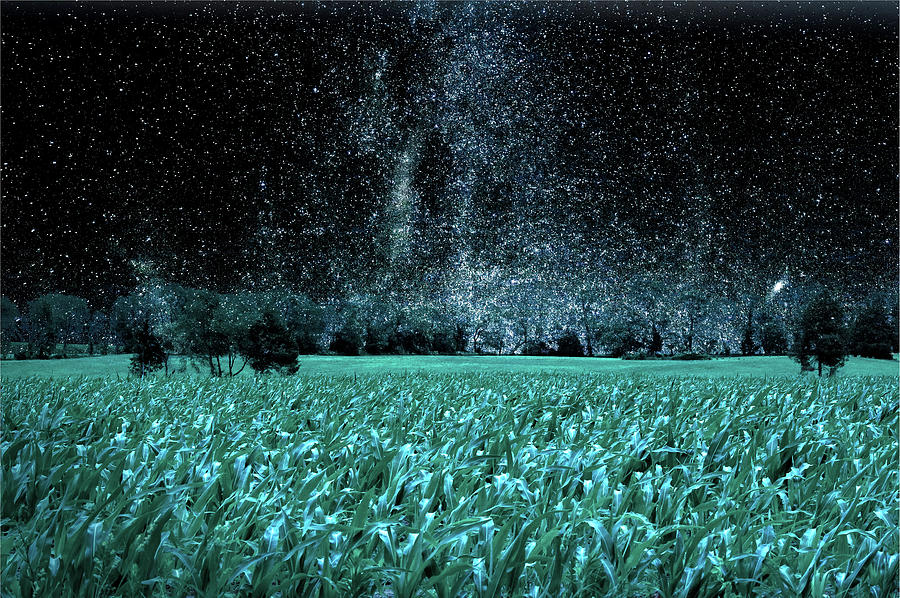 Landscape Digital Art - Corn Field at Night by William Bader