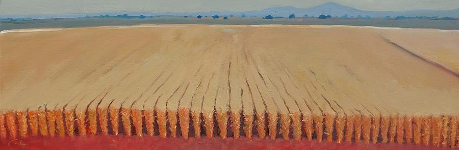 Farm Painting - Corn Field by Gary Coleman