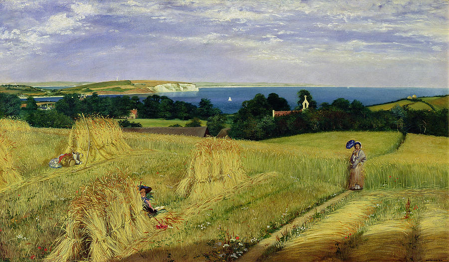 Corn Field in the Isle of Wight Painting by Richard Burchett
