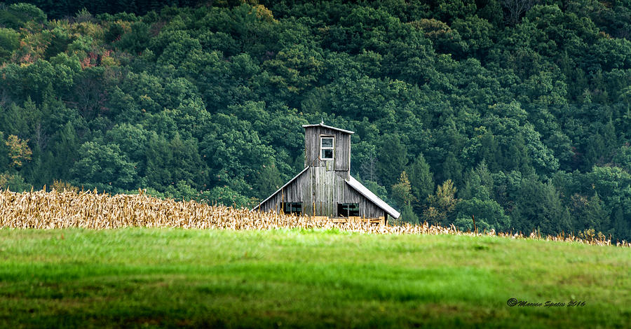 Nature Photograph - Corn Field Silo by Marvin Spates
