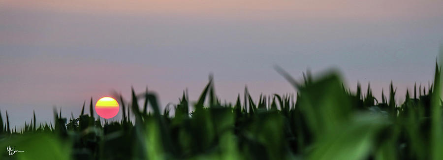 Corn Field Sunset Photograph by Mary Anne Delgado