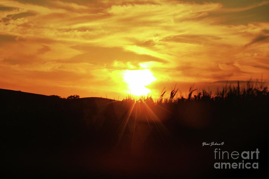 Corn field Sunset Photograph by Yumi Johnson