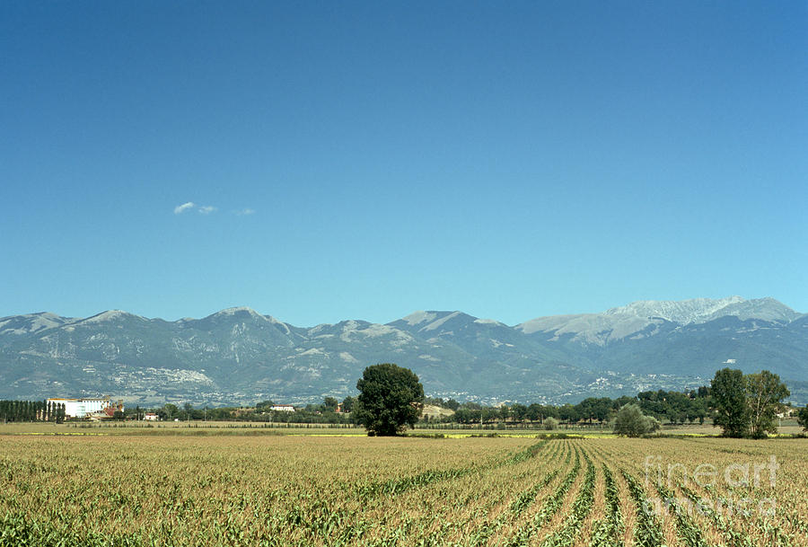 Corn field with Terminillo II Photograph by Fabrizio Ruggeri