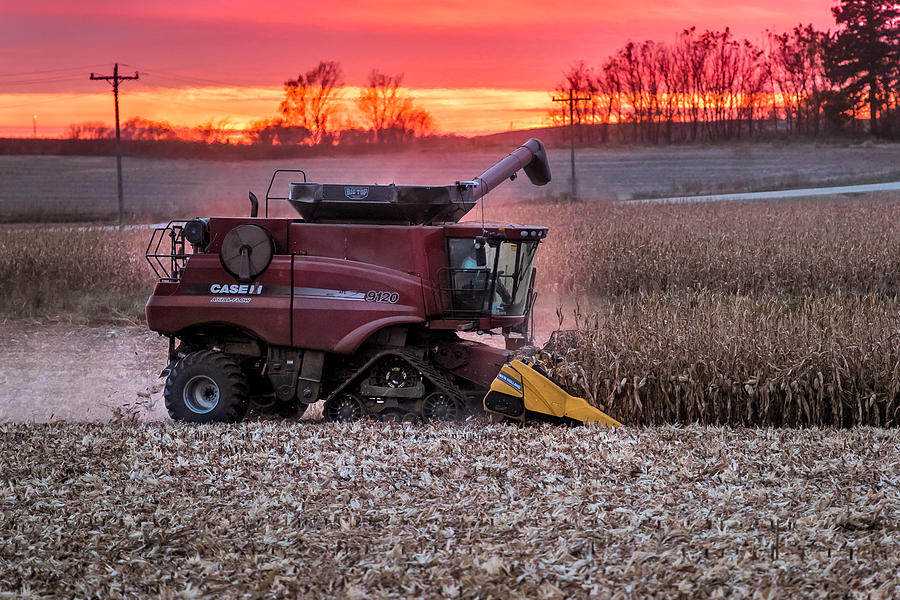 Corn Harvest Time Photograph by Paul Freidlund