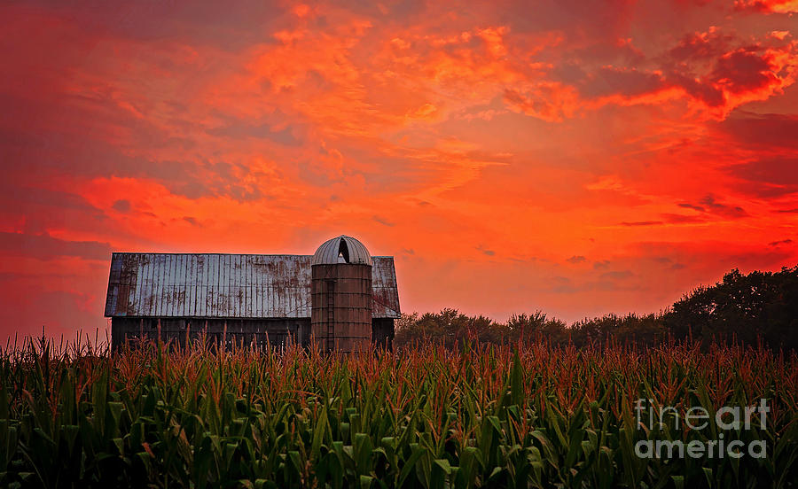 Sunset Photograph - Corn by Randall Cogle
