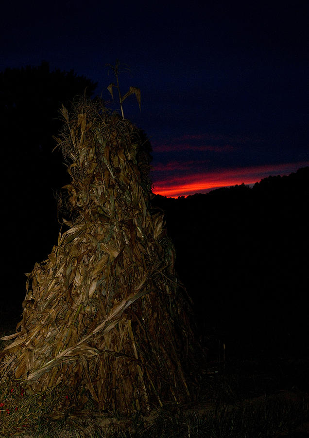 Fork Photograph - Corn shock at Setting Sun by Douglas Barnett
