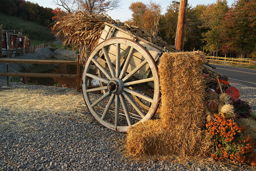 Corn Stalks and Hay Bales Photograph by Margie Avellino