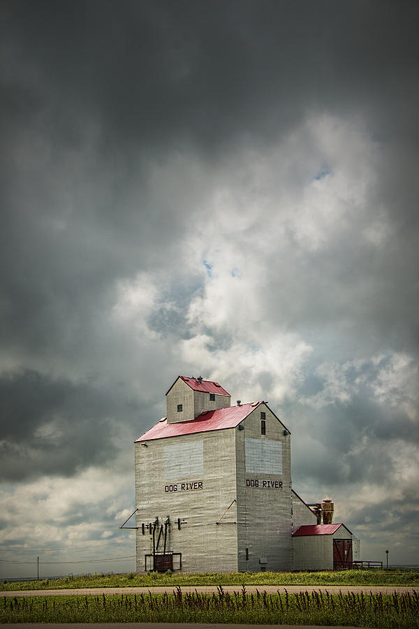 Corner Gas Grain Elevator in Dog River Photograph by Randall Nyhof